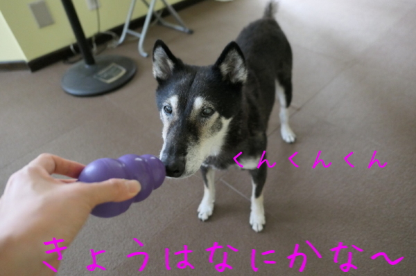 f0369014_14444642.jpg