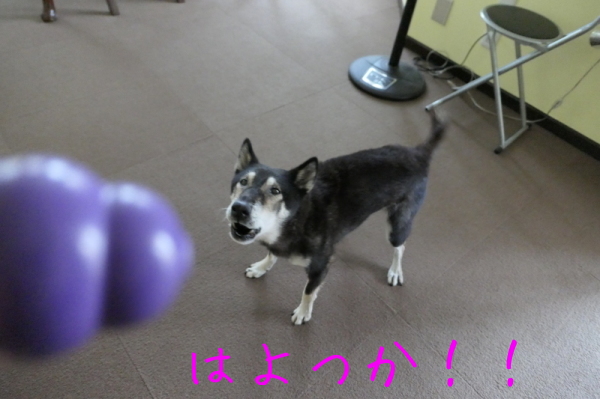 f0369014_14494374.jpg