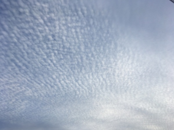 f0369014_15023595.jpg