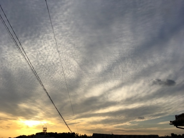 f0369014_15034319.jpg