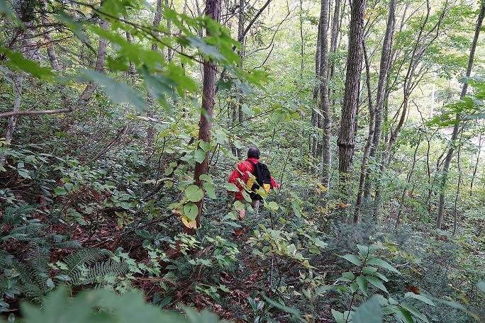 f0360815_15200837.jpg
