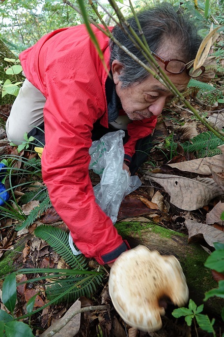f0360815_15200847.jpg