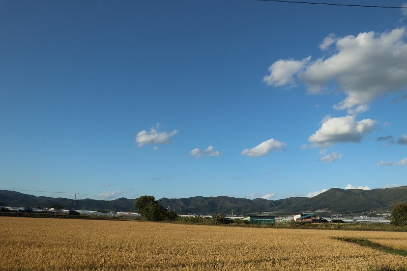 b0250154_21032508.jpg