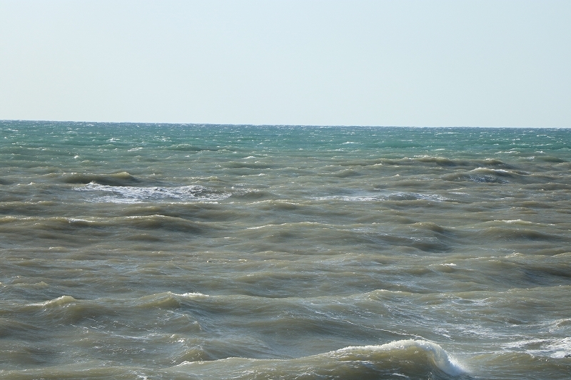 b0250154_21041195.jpg