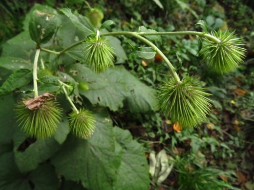 a0018655_15141238.jpg
