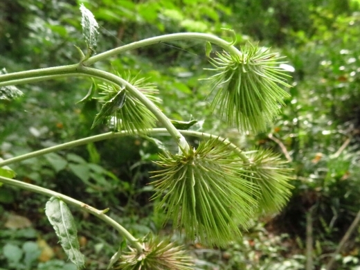 a0018655_15141671.jpg