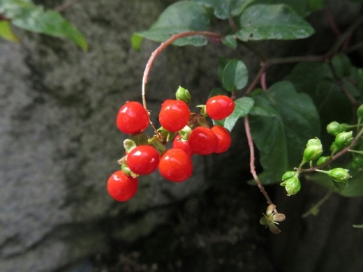 a0018655_15142300.jpg