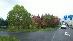 a0142989_2184631.jpg