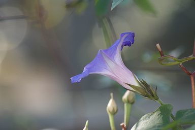 c0162516_10452880.jpg