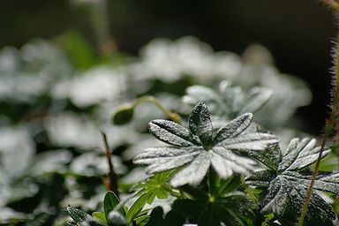 c0162516_10461269.jpg