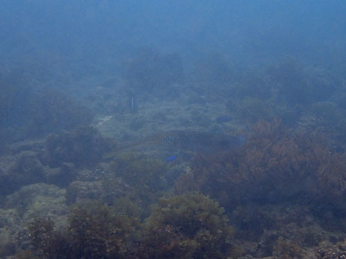 d0164831_14301828.jpg