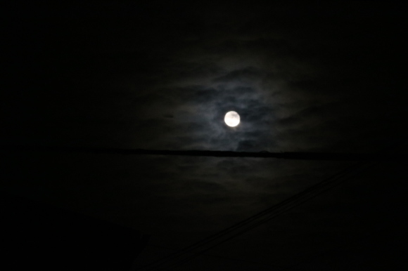 c0359445_20162394.jpg
