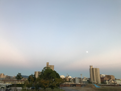 f0319760_18092980.png