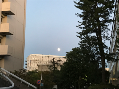 f0319760_18093000.png