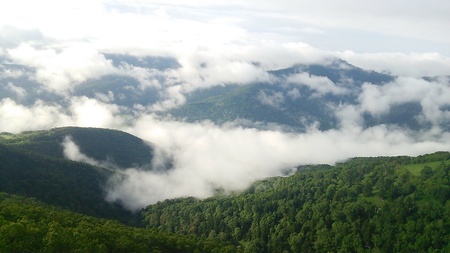 c0057776_7561325.jpg