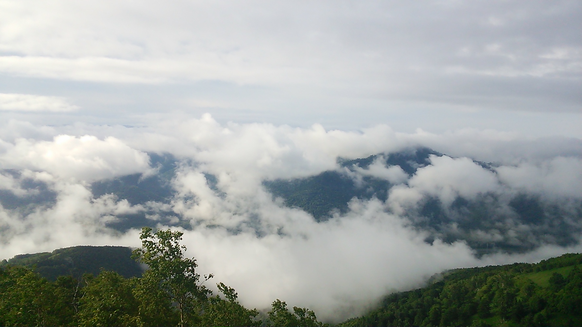 c0057776_756147.jpg
