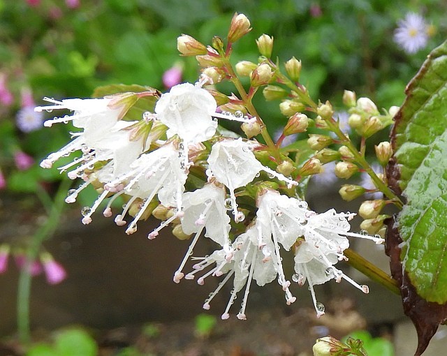 f0378979_15101531.jpg