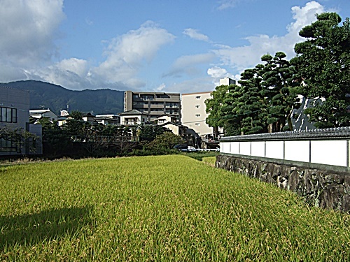 e0086885_18462469.jpg