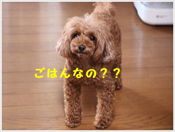 b0175688_21430006.jpg