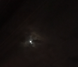 e0064189_2131592.png