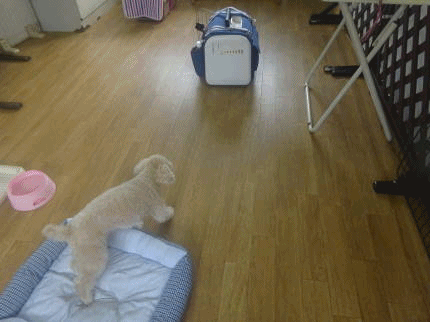 a0338800_08330793.gif
