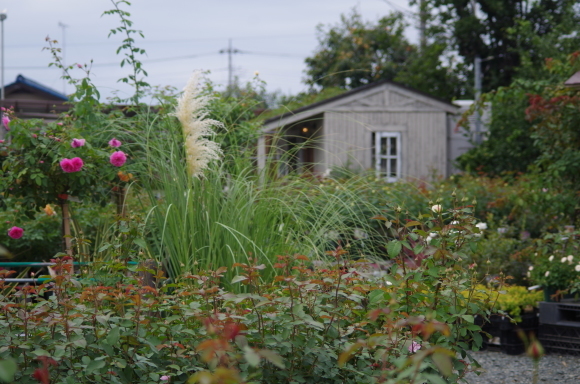 b0356401_07120147.jpg