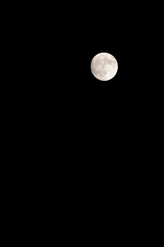 f0032011_14551442.jpg
