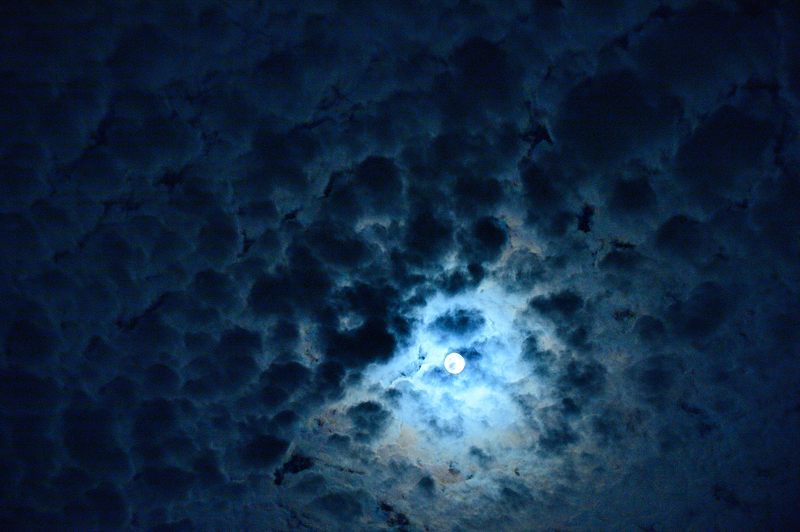f0032011_15010047.jpg