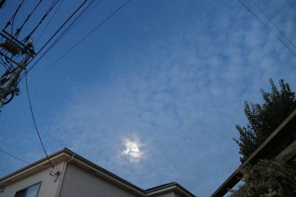 f0369014_11014427.jpg