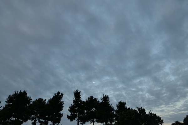 f0369014_11030384.jpg