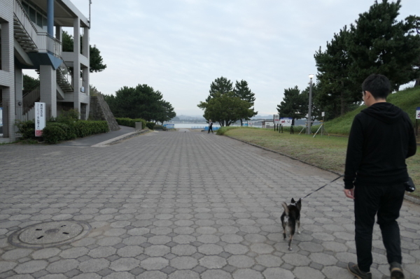 f0369014_11064164.jpg