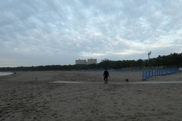 f0369014_11100498.jpg