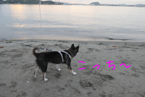 f0369014_11373934.jpg