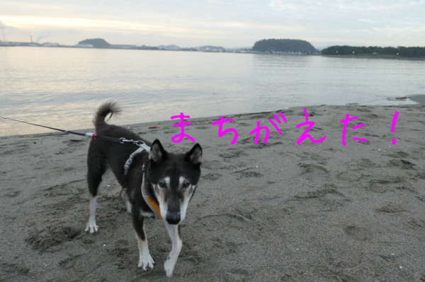 f0369014_11391408.jpg