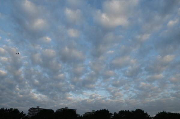 f0369014_11413214.jpg