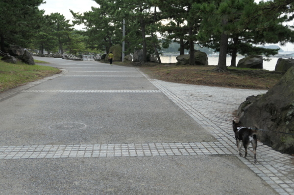 f0369014_11564421.jpg