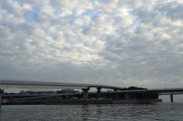 f0369014_12020099.jpg