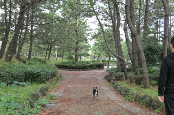 f0369014_12024749.jpg