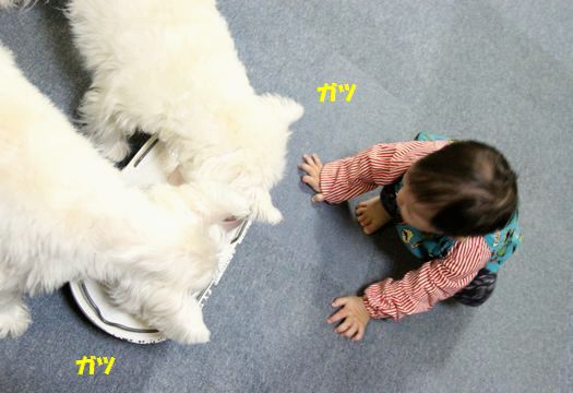 f0084422_22153722.jpg