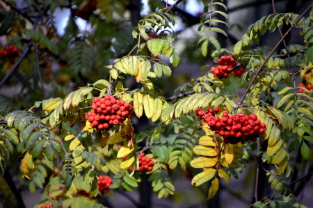 f0344626_01352015.jpg