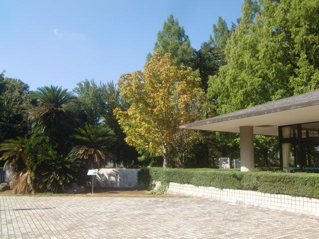 f0329849_21042307.jpg