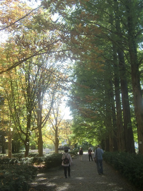 f0329849_22174062.jpg