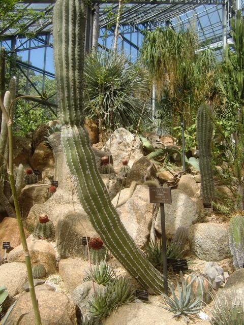 f0329849_22204687.jpg