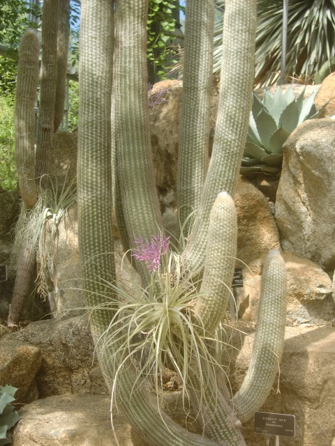 f0329849_22220534.jpg