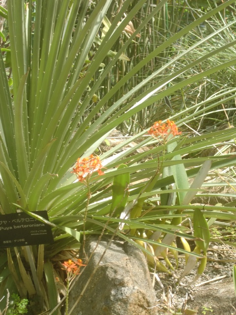 f0329849_22230334.jpg