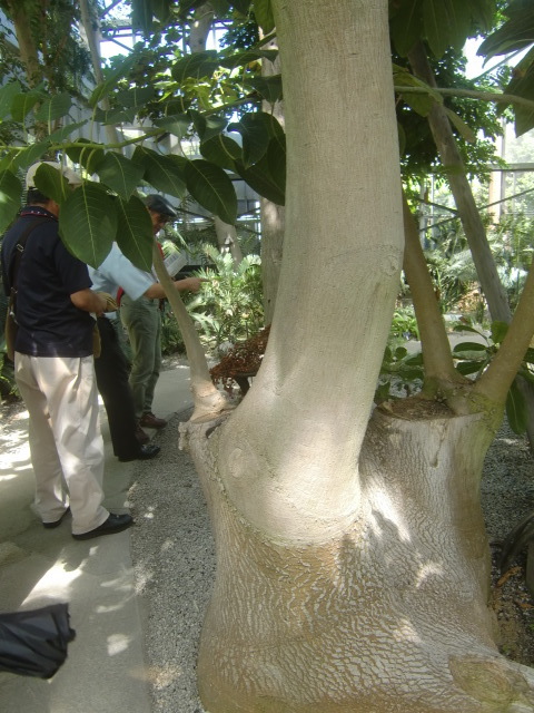 f0329849_22233682.jpg
