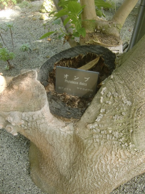 f0329849_22241450.jpg