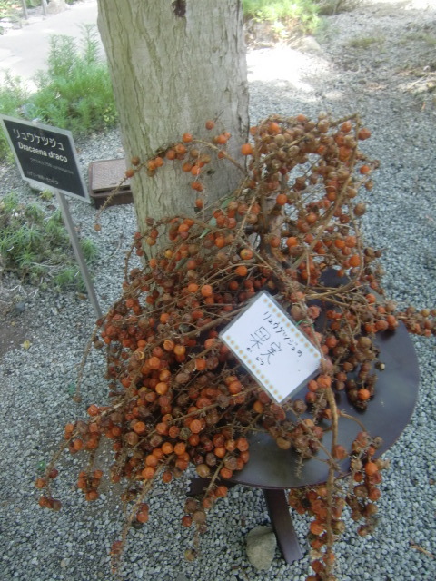 f0329849_22244010.jpg