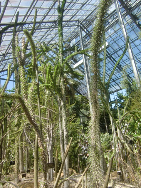 f0329849_22271079.jpg