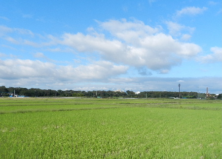e0172950_20233878.jpg